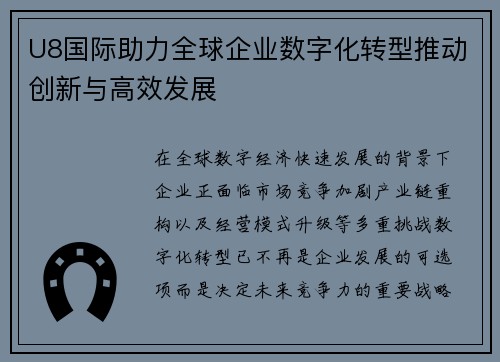 U8国际助力全球企业数字化转型推动创新与高效发展